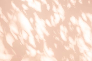 Beyaz duvar dokusunda yaprak gölgesi dalının pembe arkaplanı gölge ve aydınlık, doğa pembe gül sarısı gölge efekti bırakır, alay et ve desen yap