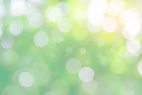 Природа Боке Розмиває Абстрактний Фон Сонячне Світло Боке Листі Зеленого — стокове фото