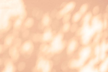 Doğa pembe gölgesi ve soyut ışık arkaplanı. Yaprak ve ağaç gölgeleri beyaz beton duvar dokusuna güneş ışığı ile bokeh duvar kağıdı, arkaplan ve herhangi bir arzu için