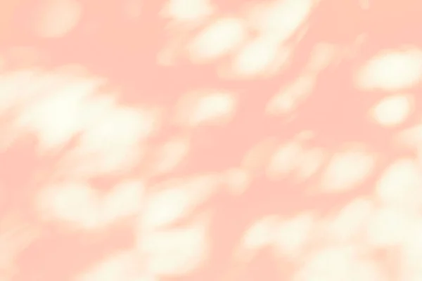 叶荫树枝在白墙质感上的粉红色背景 自然叶子粉红玫瑰金色阴影覆盖效果 模仿和设计 — 图库照片