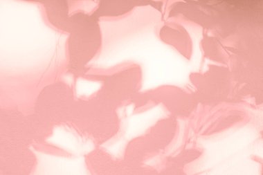 Gölge ve yaprakların ışığı arka planda. Doğal renkli yaprak pembe, mercan, gül rengi altın rengi gölge ve güneş ışığı duvar kağıdı efekti ve arzu için beyaz duvar dokusuna lekelenmiş.