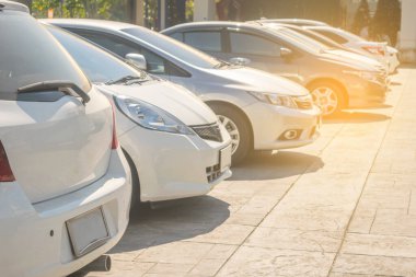 Asfalt otoparkta araba park ediyor. Arka arkaya beyaz araba parkı