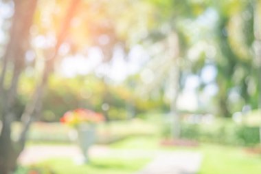 Doğa bahçesi bulanık arka plan. Parktaki yeşil ağaç, ışık saçan ve güneş ışığı alan. Bahçedeki doğal ağaçlar. Soyut bulanık doğa manzarası yeşil çevre kavramı