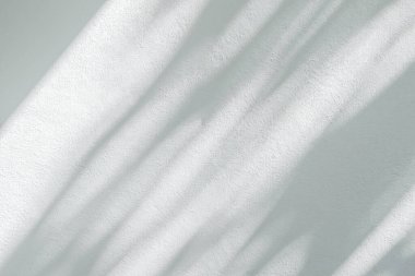 Yaprak soyut arkaplanının ışığı ve gölgesi. Beyaz beton duvar dokusunda doğal gölgeler ve güneş ışığı çapraz kırılması. Yeşillik modellemesi için gölge örtüsü efekti, pankart grafik düzeneği