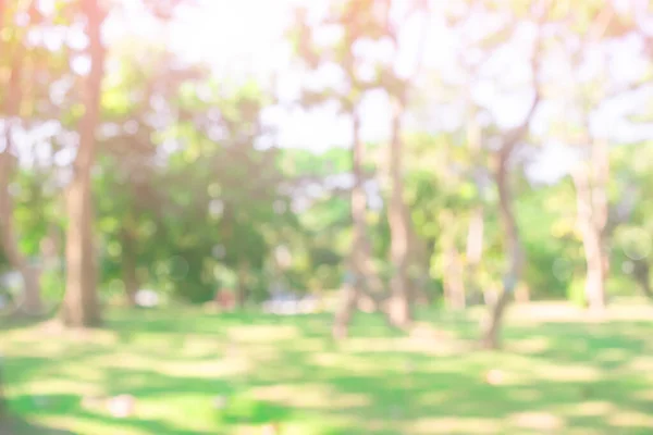 公園の背景にある青緑色の木 日光と空からの光のボケを持つ屋外庭園の天然木や芝生 要旨ぼかし自然景観緑の環境 Conep — ストック写真