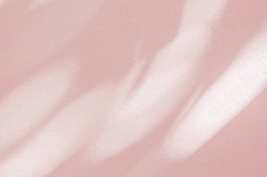 Beyaz duvar dokusunda yaprak gölgesi dalının pembe arkaplanı gölge ve aydınlık, doğa pembe gül sarısı gölge efekti bırakır, alay et ve desen yap