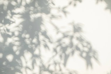 Yaprakların gölgesi ve güneş ışığı yansıması. Ormanın gri gölgesi ve beton duvarda duvar kâğıdı için ışıklandırma, gölgeler örtüsü efekti, taklit tasarım. Siyah ve beyaz sanatsal soyut arka grup