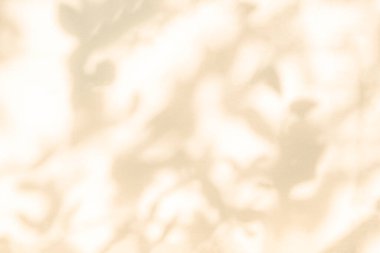 Gölge ve yaprakların ışığı arka planda. Doğal renkli yaprak pembe, mercan, gül rengi altın rengi gölge ve güneş ışığı duvar kağıdı efekti ve arzu için beyaz duvar dokusuna lekelenmiş.