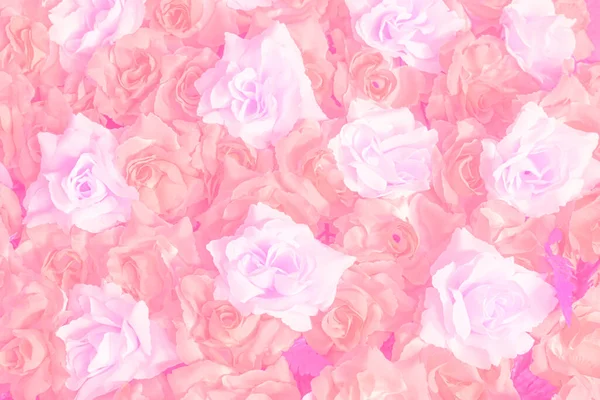 Pink Rose Texture Background Roses Flower Bouquet Soft Pastel Pink — Stockfoto