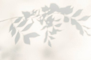 Yaprak gölgesi ve açık doğa tropikal arka plan. Doğal yapraklar, ağaç dalları ve üzerine güneş ışığı lekesi konmuş gölgeler. Yeşillik modellemesi için gölge örtüsü efekti, pankart grafik düzeneği