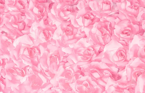 Rose Bouquet Soft Pink Pastel Fluffy Petal Romance Blur Background — Stock Photo, Image