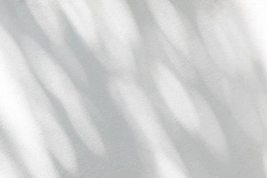 Soyut gri yapraklar gölge ve ışık bulanık arkaplan, beyaz duvarda doğal yaprak dalları var. Yeşillik modellemesi için gölge örtüsü efekti, pankart grafik düzeneği