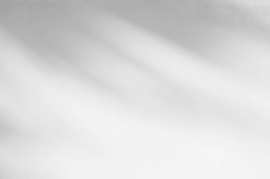 Soyut gri arkaplanın ışık ve gölgesi. Beyaz beton duvar dokusunda doğal gölgeler ve güneş ışığı çapraz kırılması. Yeşillik modellemesi için gölge kaplama efekti, pankart grafik düzeni