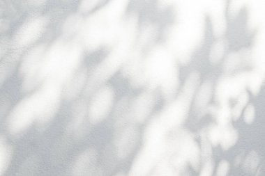 Yaprakların gölgesi ve güneş ışığı yansıması. Orman gri yaprak gölgesi ve beton duvarda duvar kâğıdı için ışıklandırma, gölge örtüsü efekti, taklit tasarım. Siyah ve beyaz sanatsal arkaplan