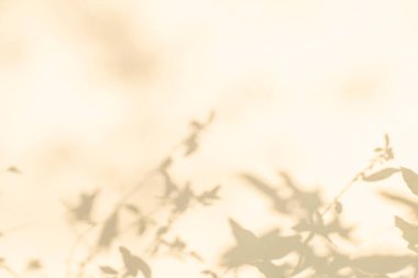 Yaprakların hafif gölgesi ve ağaç dalı arka planı. Doğal yapraklar ağaç dalları bej gölgeler ve beyaz duvar dokusunda güneş ışığı, gölge örtüsü mozaiği, grafik düzenleme, duvar kağıdı, arzulanan