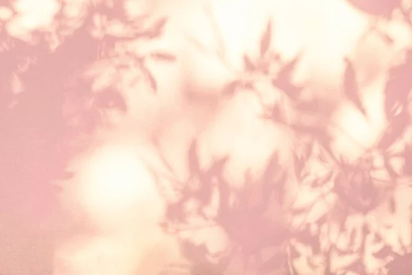 Ombra Luce Foglie Albero Ramo Sfondo Naturale Colorato Foglia Rosa — Foto Stock