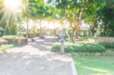 Park arka planında bulanık yeşil ağaç. Doğal ağaçlar, güneş, güneş ışığı, çimen ve açık hava bahçesi güneş ışığından gelen ışık. Soyut bulanık manzara yeşil çevre konsepti