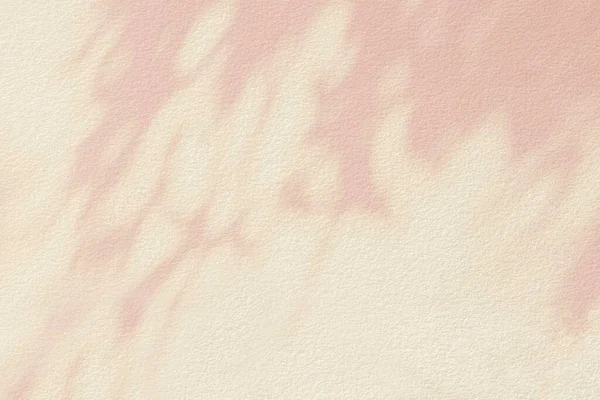 Тень Свет Bokeh Розовый Пастельный Фон Листьев Тени Дерева Ветви — стоковое фото