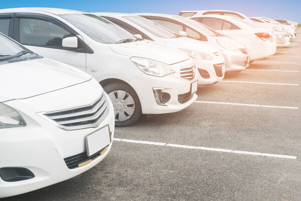 Car parking in asphalt parking lot in a row, front of  white used cars close up, automobile transportation dealer business concep