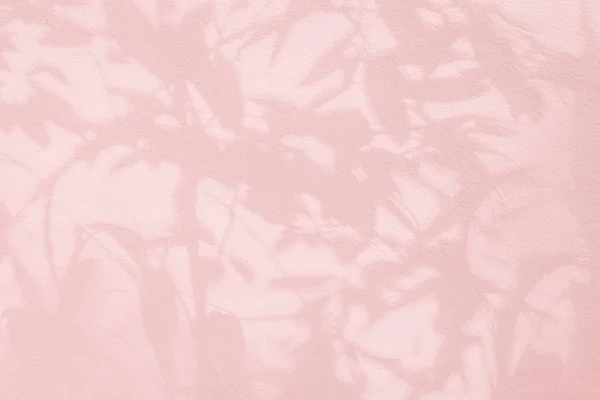 Leaf Shadow Tree Branch Wall Nature Leaves Pastel Beige Pink — Stock Photo, Image