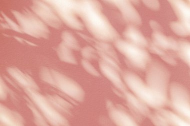 Beyaz duvar dokusundaki yaprak gölge ağaç dalının pembe mercan pastel arka planı, pembe gül sarısı gölge efekti, alay et ve tasarla