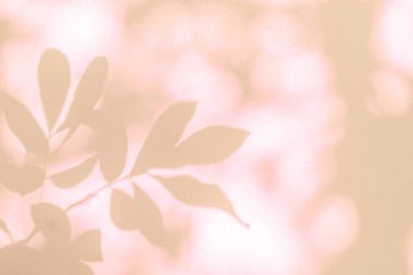 Gölge ve yaprakların ışığı arka planda. Doğal renkli yaprak pastel, pembe, mercan, gül sarısı ve güneş ışığı duvar kağıdı efekti ve tasarımı için beyaz duvar dokusuna lekelenmiş.