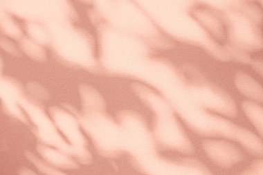 Gölge ve yaprakların ışığı arka planda. Doğal renkli yaprak pastel, pembe, mercan, gül rengi altın rengi gölge ve beyaz duvar dokusuna yansıyan güneş ışığı duvar kağıdı efekti ve tasarım için.