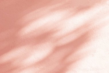 Gölge ve yaprakların ışığı arka planda. Doğal renkli yaprak pastel, pembe, mercan, gül rengi altın rengi gölge ve beyaz duvar dokusuna yansıyan güneş ışığı duvar kağıdı efekti ve tasarım için.