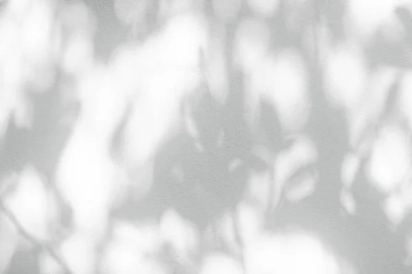 Абстрактне Листя Тіні Розмитого Фону Натуральне Листя Гілки Дерева Тіні — стокове фото