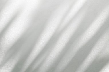 Soyut yapraklar gölge ve ışık bulanık arkaplan, beyaz duvarda doğal yaprak dalları. Yeşillik modellemesi için gölge örtüsü efekti, pankart grafik düzeneği