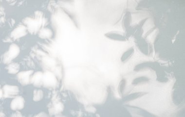 Yaprak gölgesi ve arka plandaki ışık. Doğa tropikal yapraklar ağaç dalları beyaz duvar dokusu üzerine güneş ışığı gölge gölge gölge yaprak mozaiği, grafik düzen, duvar kağıdı, arzu