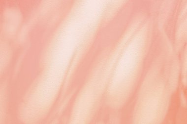 Beyaz duvar dokusunda yaprak gölgesi dalının pembe pastel arka planında, doğa pembe gül sarısı gölgesi efekti bırakır, alay eder ve arzu eder.