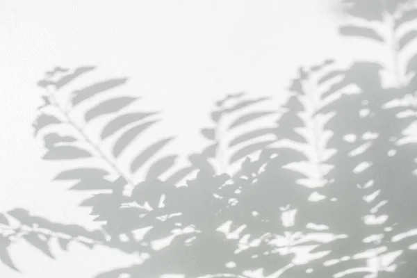 그림자와 나뭇잎 반사되는 어둠의 콘크리트 벽지에 그림자 오버레이 디자인 거꾸로 — 스톡 사진