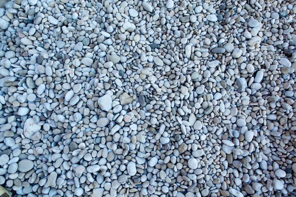 Naturally polished white rock pebbles background — Stock Photo, Image