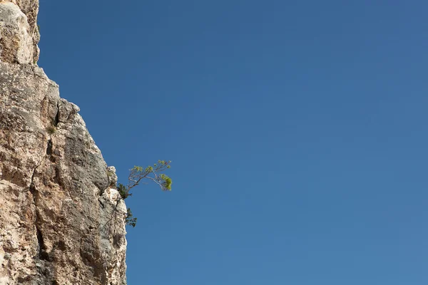 Hory a modrá obloha — Stock fotografie