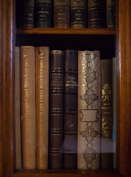 Libros antiguos en una biblioteca antigua — Foto de Stock