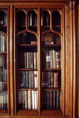 historic old books in library