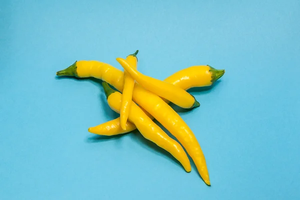 Yellow hot chili pepper isolated on blue — Stock Photo, Image