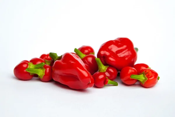 Chili pepper isolated on a white background — Stock Photo, Image