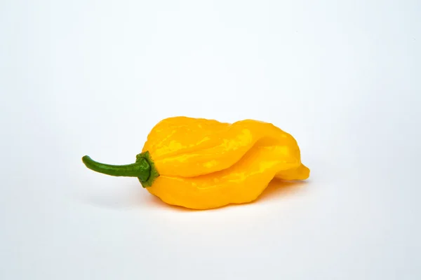 Chili pepper isolated on a white background — Stock Photo, Image