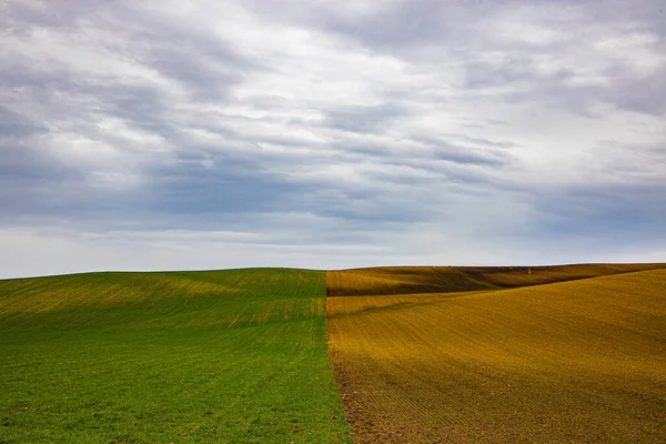 Beautiful Landscape Day Green Grass Field Dramatic Sky — Stock Photo, Image