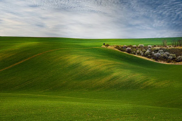 Piękny Krajobraz Dzień Zielona Trawa Polu Dramatyczne Niebo — Zdjęcie stockowe