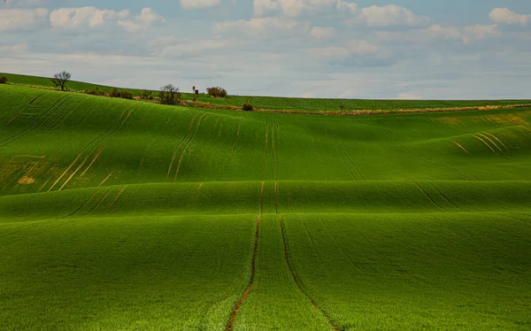 Beautiful Landscape Day Green Grass Field Dramatic Sky — ストック写真