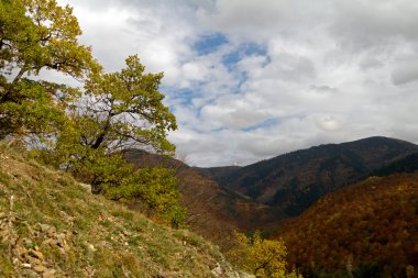 Kafkas Dağları. Gözlemevi.