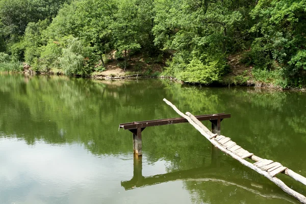 Orman Gölü — Stok fotoğraf