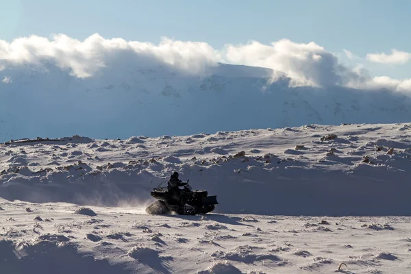 Dört kiralama (Atv)