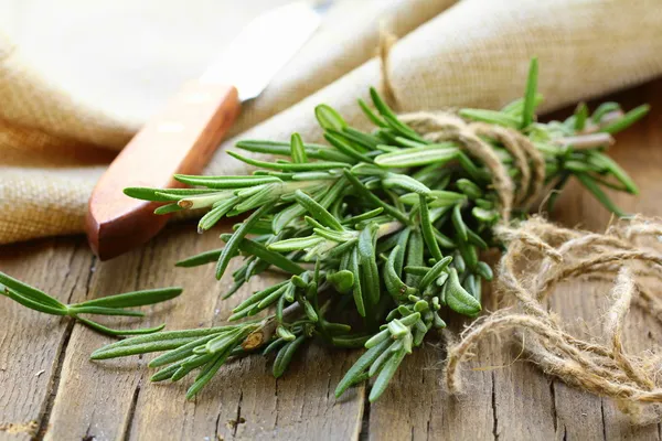 Organic bunch of fresh rosemary on the table — Stock Photo, Image