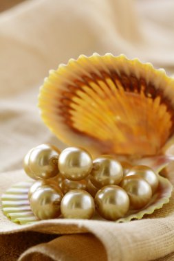 bej renkli arka plan üzerinde kabuk inci kolye