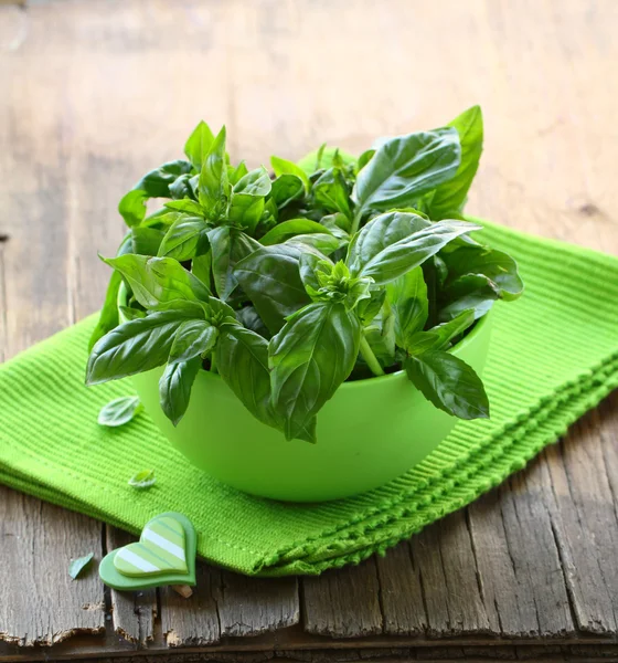 Manjericão verde fresco em uma mesa de madeira — Fotografia de Stock