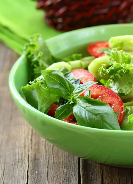 Listy salátu z čerstvé rajče, okurka a bazalkou — Stock fotografie